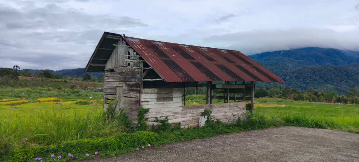 Ramadhan, Zakat, dan Jalan Baru Kesejahteraan
