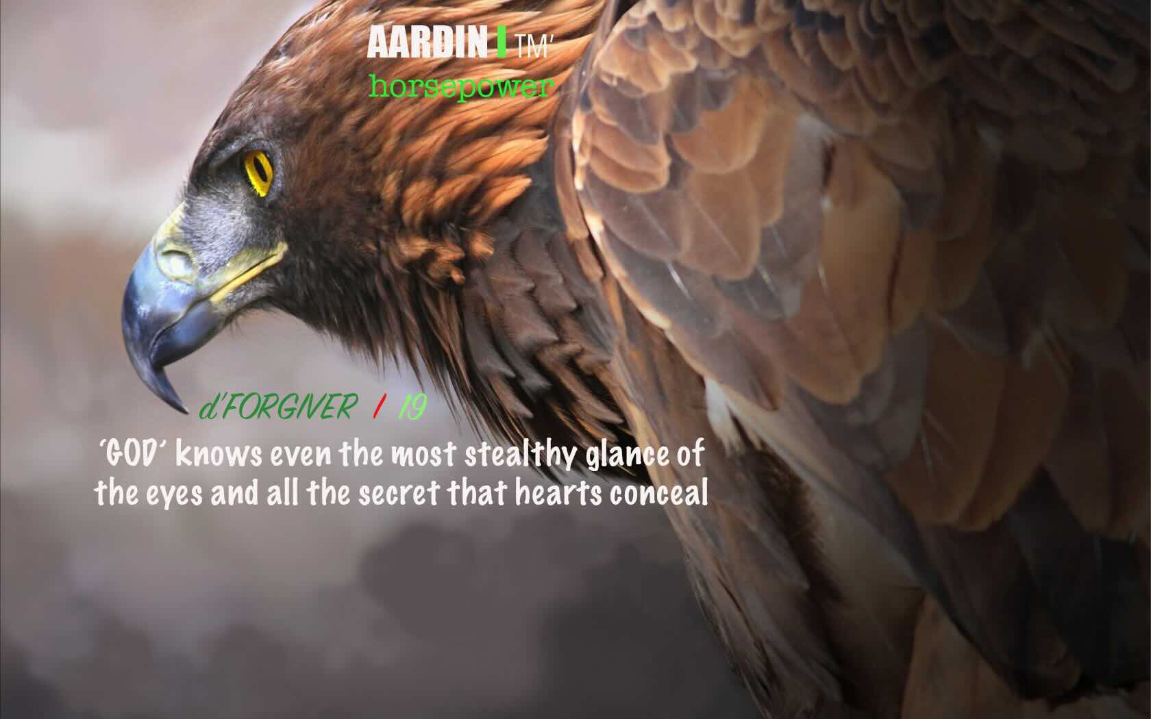 Eagle Sun Walker: Speed of the Sky Hunter