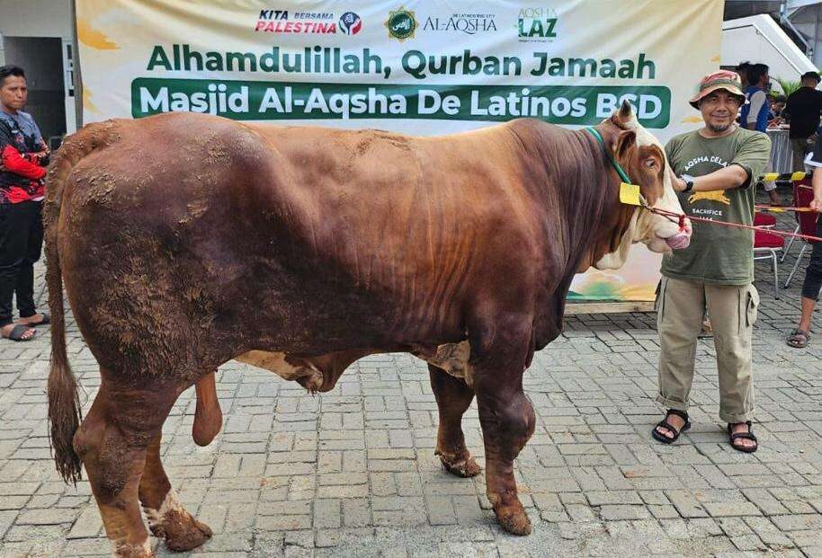 Ketika Qurban Menjadi Sistem Logistik Kemanusiaan Nasional